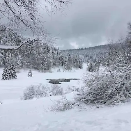 Διαμέρισμα L'appart Des Familles Sportives!