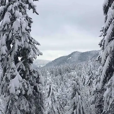 L'appart Des Familles Sportives! Διαμέρισμα