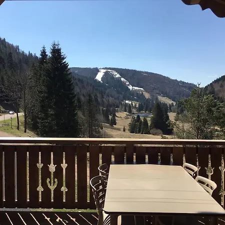 Apartment L'appart Des Familles Sportives! La Bresse