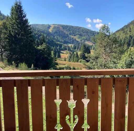 L'appart Des Familles Sportives! *