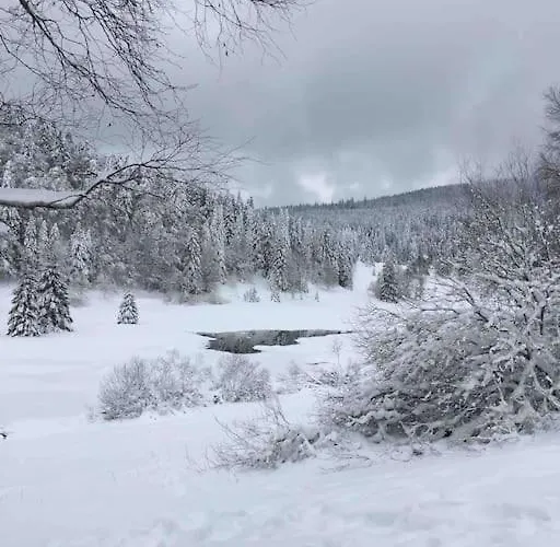 Apartmán L'appart Des Familles Sportives!