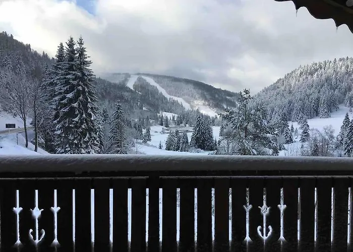 L'appart Des Familles Sportives! La Bresse