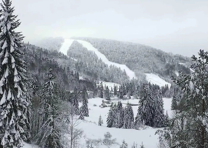 Apartmán L'appart Des Familles Sportives! *