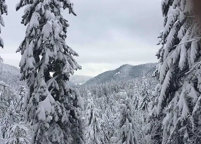 L'appart Des Familles Sportives! Apartmán