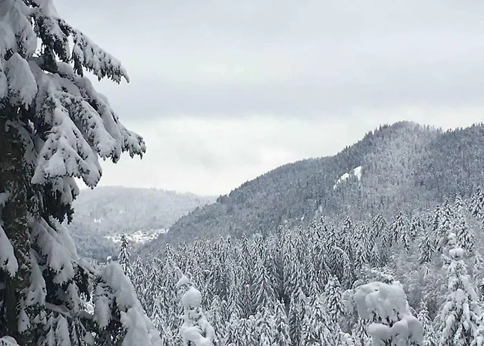 L'appart Des Familles Sportives! * La Bresse
